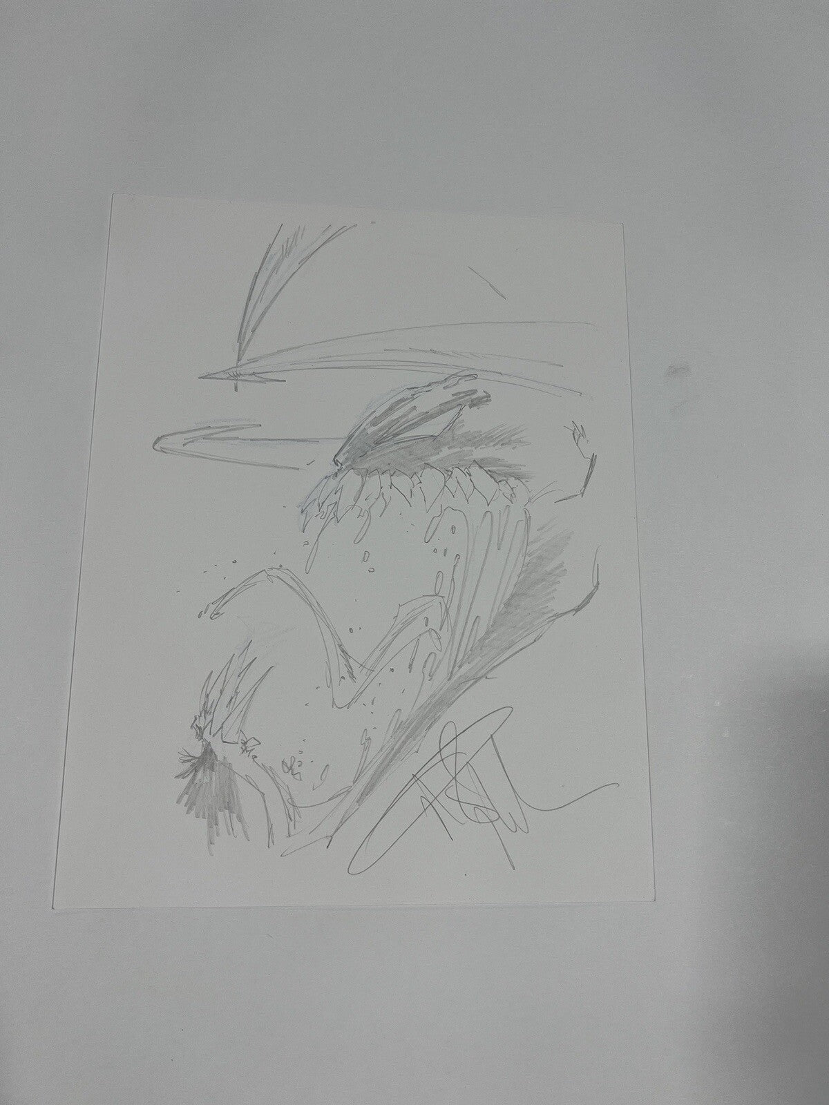 Image #1