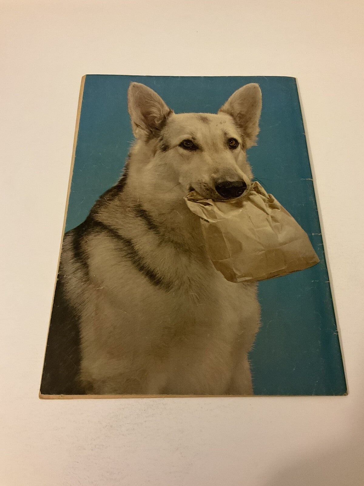 Image #2