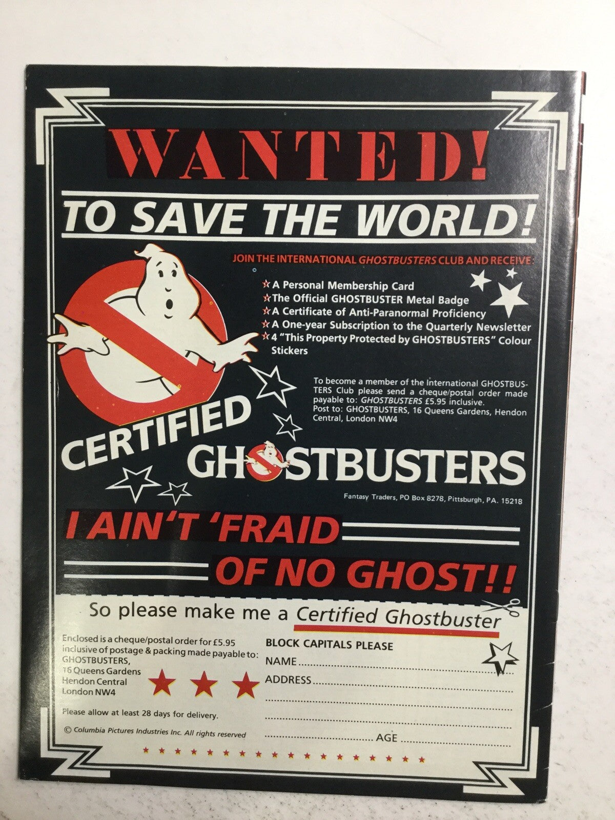 Image #2