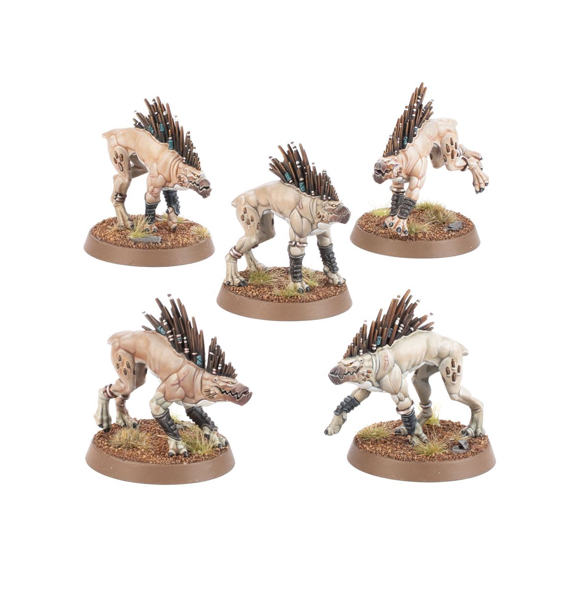 T'au Kroot Hounds